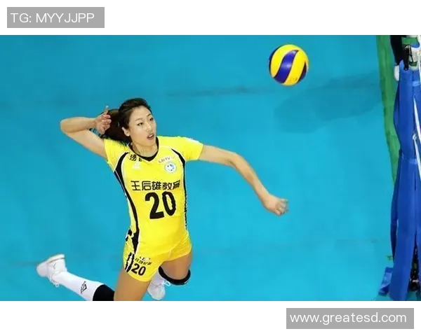 深圳排球队实力不容小觑排球个人能力排行榜揭晓第十名成就