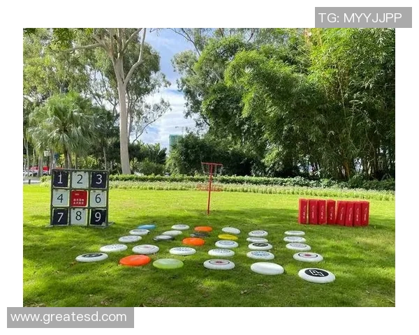 武汉飞盘队：团结协作的力量与飞盘运动的魅力探讨